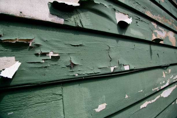 Best Brick Veneer Siding  in Chena Ridge, AK