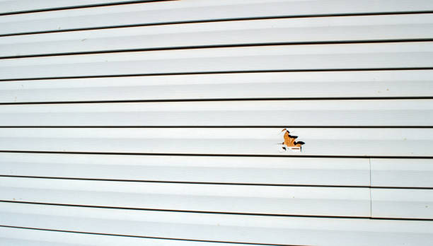 Best Insulated Siding Installation  in Chena Ridge, AK