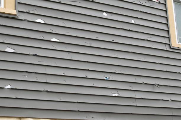 Best James Hardie Siding  in Chena Ridge, AK