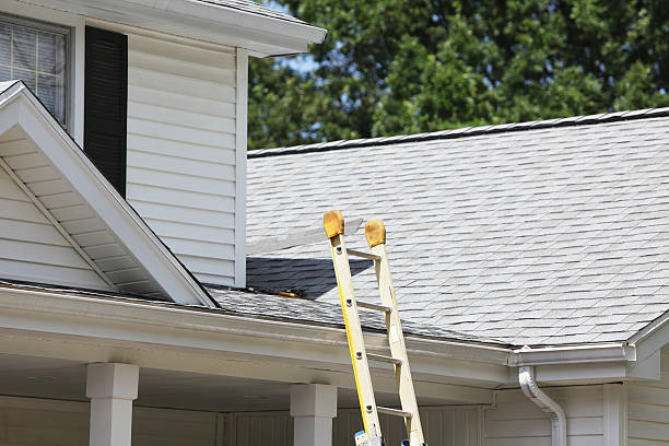 Best Historical Building Siding Restoration  in Chena Ridge, AK
